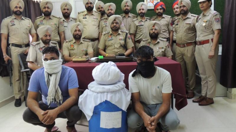 punjab news punjab news