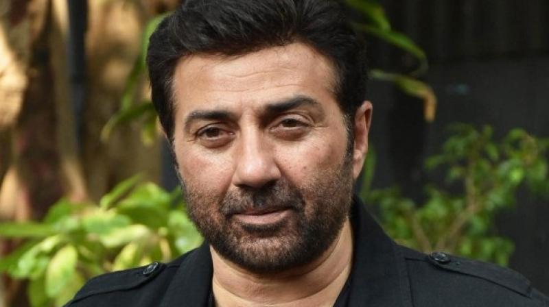 sunny deol sunny deol