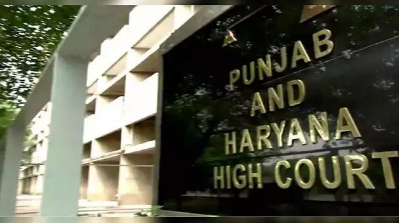 Punjab and Haryana High court Punjab and Haryana High court
