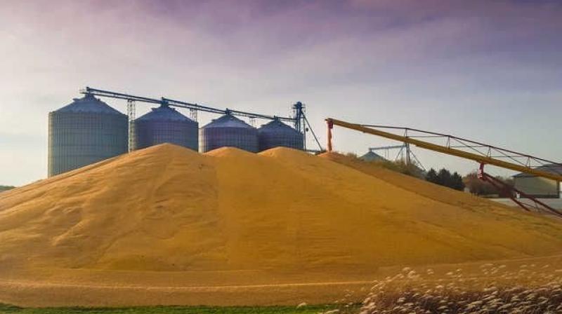 Another silo added to the existing list of 11 silos in Punjab Another silo added to the existing list of 11 silos in Punjab
