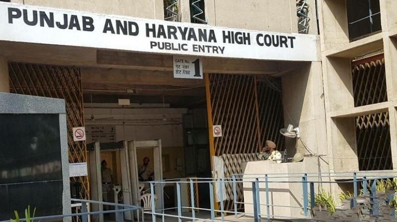 Punjab and Haryana High Court Punjab and Haryana High Court