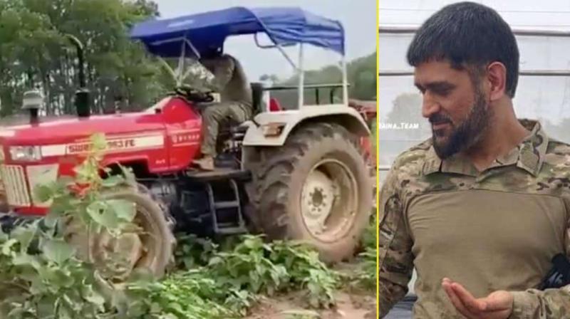 MS Dhoni driving tractor, doing organic farming to get over lockdown blues MS Dhoni driving tractor, doing organic farming to get over lockdown blues
