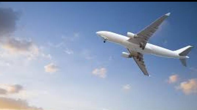 Air Travel Passenger Air Travel Passenger