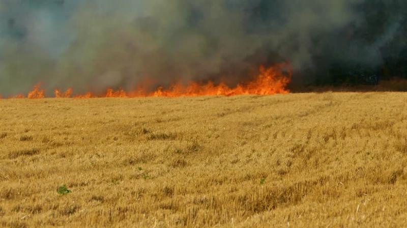  400 acres of crop from burning
