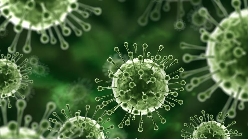 12 year old boy died of Nipah Virus in Kozhikode, Kerala 12 year old boy died of Nipah Virus in Kozhikode, Kerala