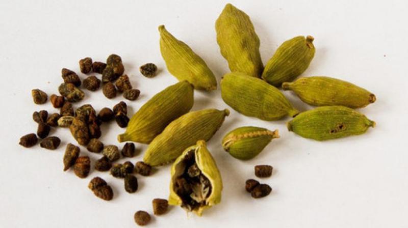 cardamom cardamom