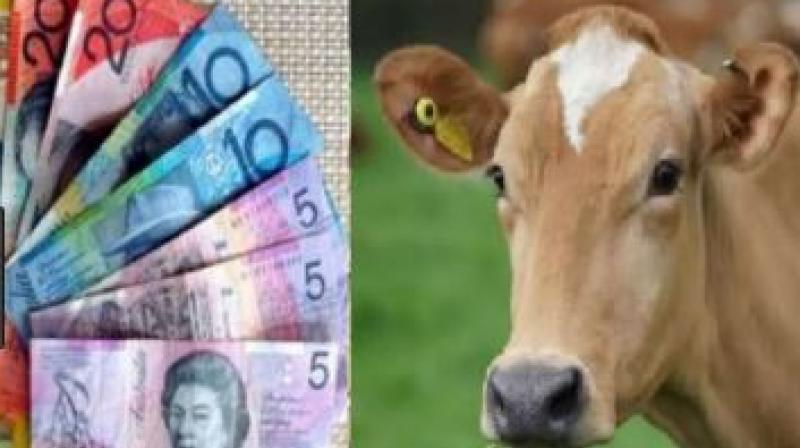Beef Note Beef Note