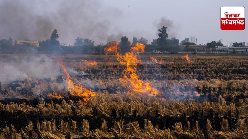 Case registered against two farmers in Jalandhar for burning stubble