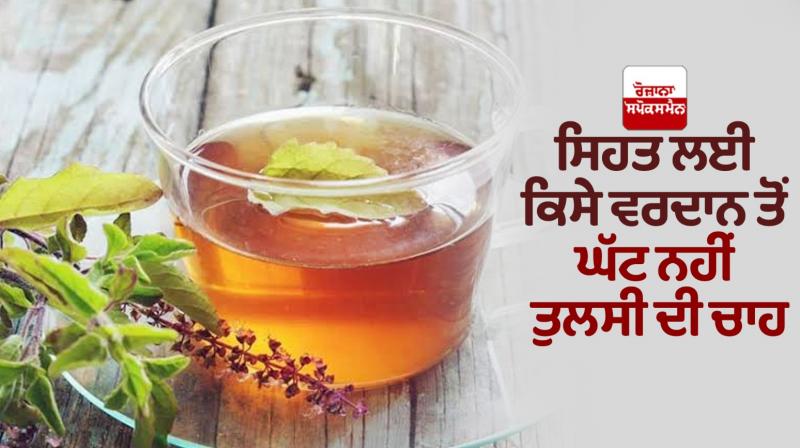 Tulsi Tea Benefits