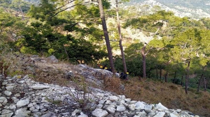 Major accident in Uttarakhand: 14 killed, 2 injured Major accident in Uttarakhand: 14 killed, 2 injured