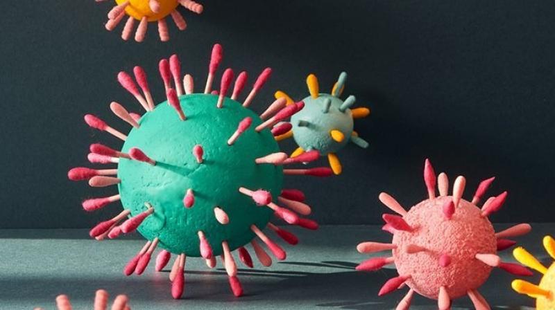 Corona Virus Corona Virus