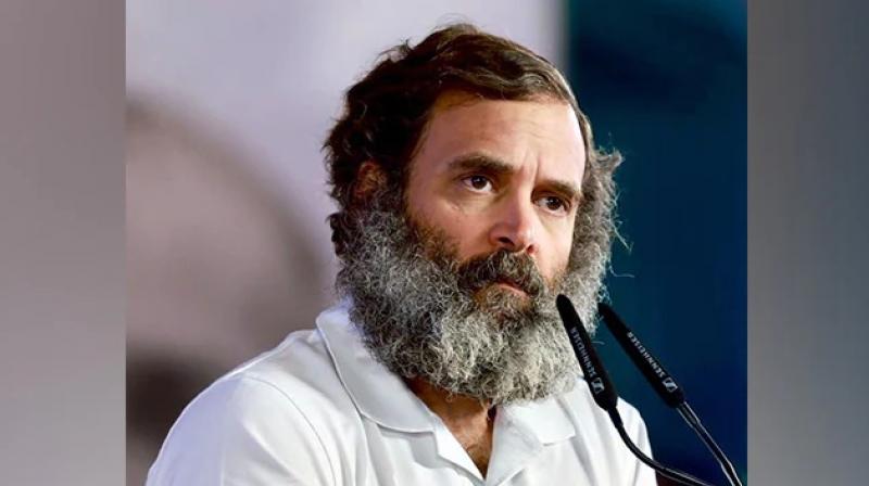 Rahul Gandhi Rahul Gandhi