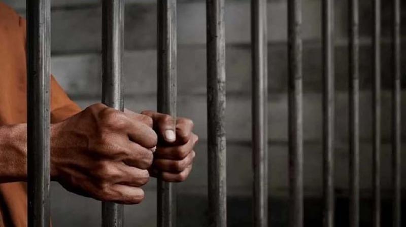 Life imprisonment for the son who murdered his mother Life imprisonment for the son who murdered his mother