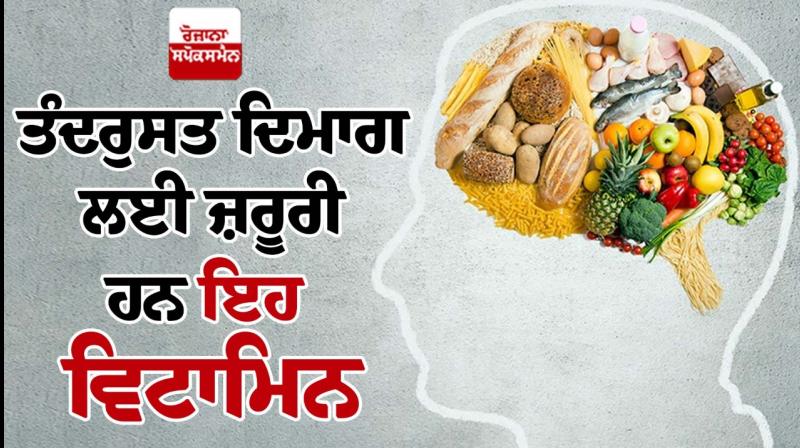 These vitamins are essential for a healthy brain These vitamins are essential for a healthy brain