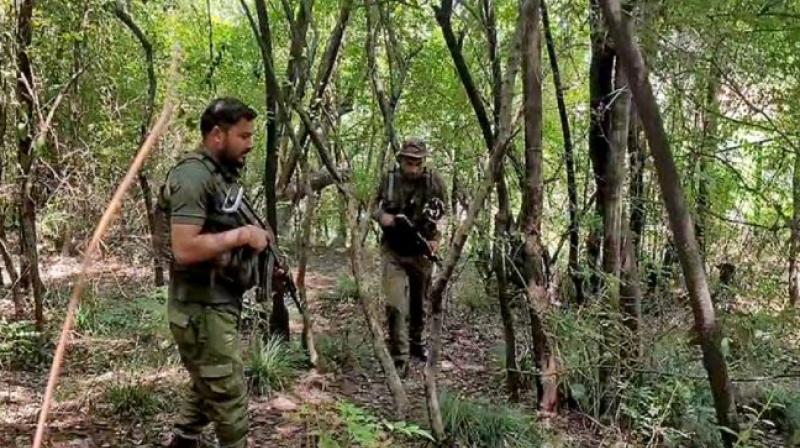 500 Special Para Commandos deployed in Jammu 500 Special Para Commandos deployed in Jammu
