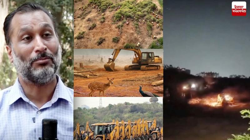 Man has destroyed the homes of birds and animals for his greed. Man has destroyed the homes of birds and animals for his greed.