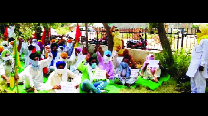 to ਡਿਪਟੀ ਕਮਿਸ਼ਨਰ ਦੇ ਦਫ਼ਤਰ ਦੇ ਬਾਹਰ ਧਰਨਾ ਲਗਾ ਕੇ ਬੈਠੇ ਖੇਤ ਮਜ਼ਦੂਰ ਅਤੇ ਕਿਸਾਨ। (ਸੰਜੂ) to ਡਿਪਟੀ ਕਮਿਸ਼ਨਰ ਦੇ ਦਫ਼ਤਰ ਦੇ ਬਾਹਰ ਧਰਨਾ ਲਗਾ ਕੇ ਬੈਠੇ ਖੇਤ ਮਜ਼ਦੂਰ ਅਤੇ ਕਿਸਾਨ। (ਸੰਜੂ)