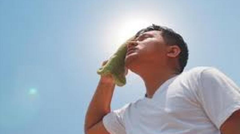 Health News: The risk of these diseases may increase in summer Health News: The risk of these diseases may increase in summer