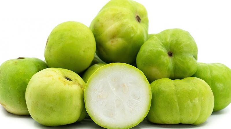 Health News: Eating tinda has exceptional benefits, many diseases are removed Health News: Eating tinda has exceptional benefits, many diseases are removed