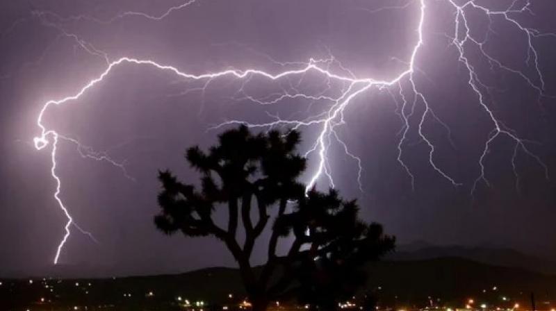 Bihar News : 9 people died due to lightning in Bihar Bihar News : 9 people died due to lightning in Bihar
