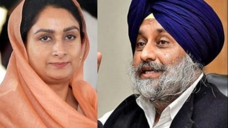 Harsimrat Badal, Sukhbir Badal 