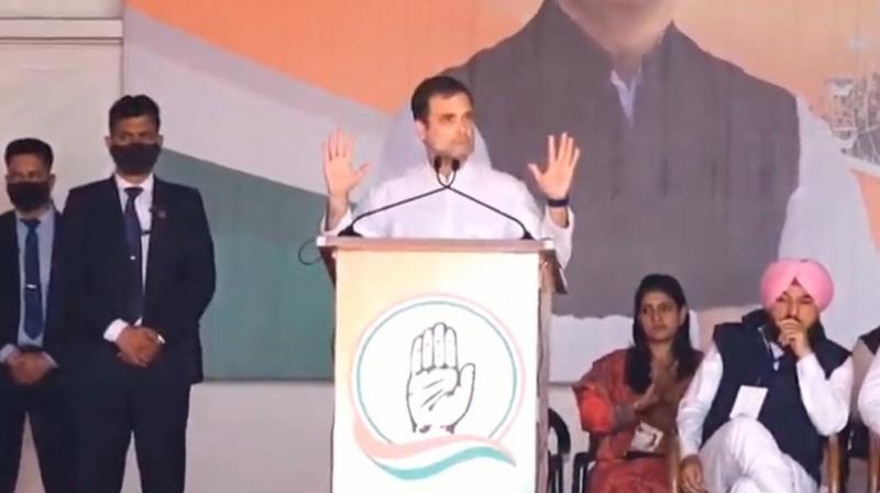 Rahul Gandhi Rahul Gandhi