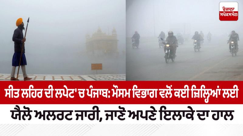Dense Fog Alert over Punjab Dense Fog Alert over Punjab