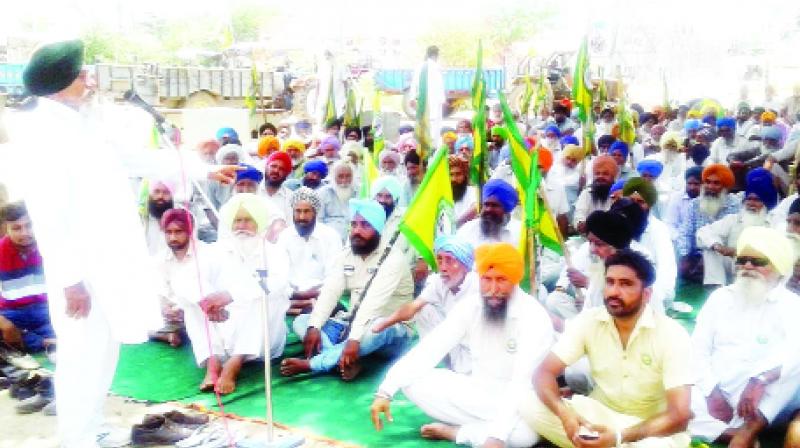 Farmers Protesting