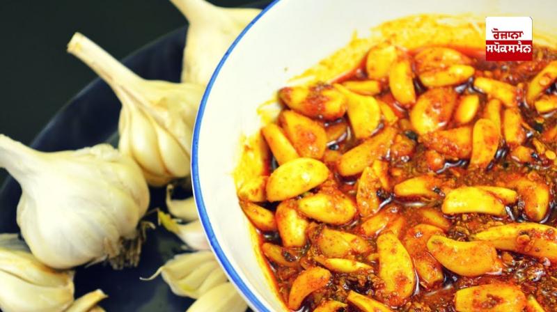 Garlic pickle is a panacea for cancer and many other diseases Garlic pickle is a panacea for cancer and many other diseases
