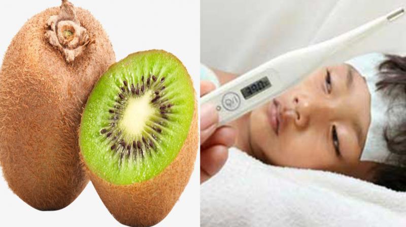 Kiwi Kiwi