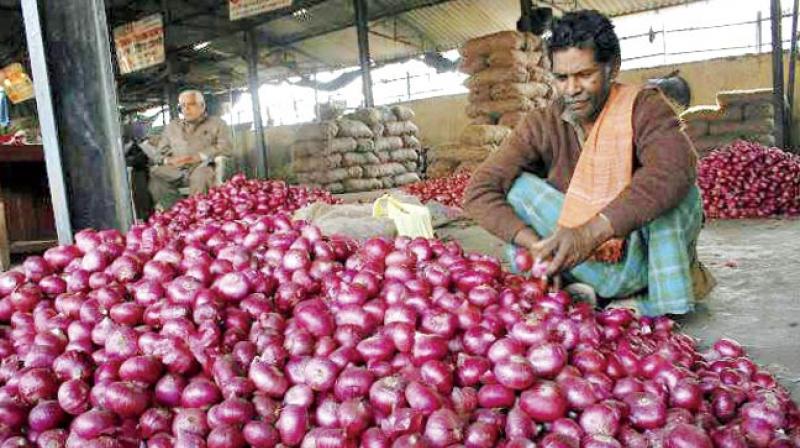 Kisan Kisan