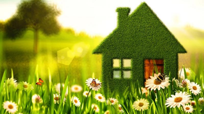 Healthy Home Healthy Home