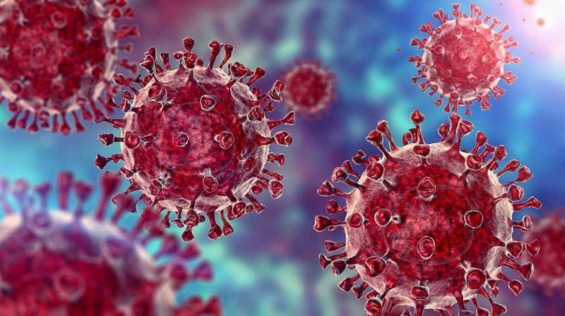 Coronavirus Coronavirus