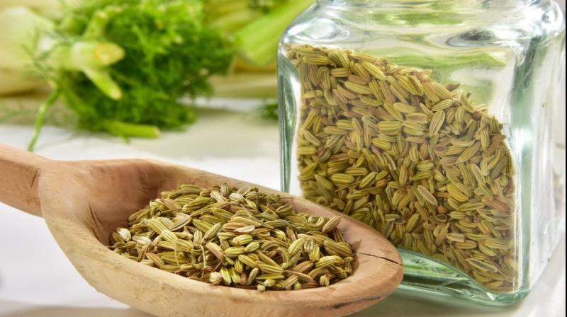 Fennel is good for health