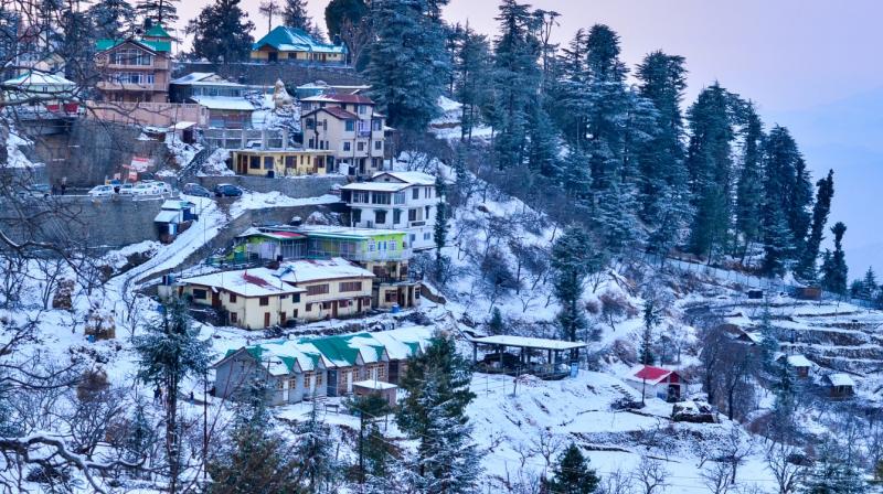 Shimla 