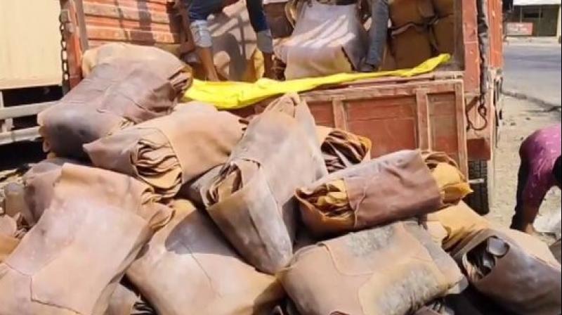 Ganja worth Rs 1.02 crore seized by police on Assam-Tripura border, one arrested Ganja worth Rs 1.02 crore seized by police on Assam-Tripura border, one arrested