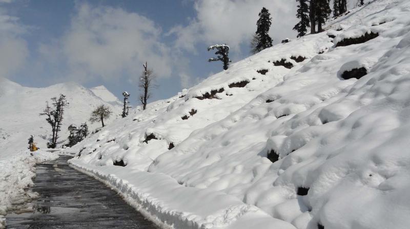 Manali Heavy Snowfall