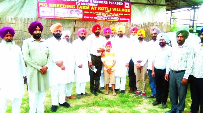 Farmers adopt livestock occupations with agribusiness: Balbir Singh Sidhu Farmers adopt livestock occupations with agribusiness: Balbir Singh Sidhu