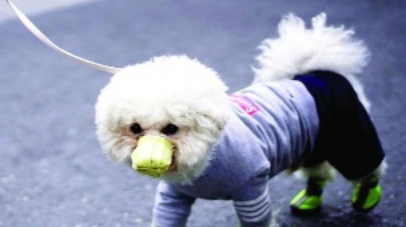 File Photo File Photo