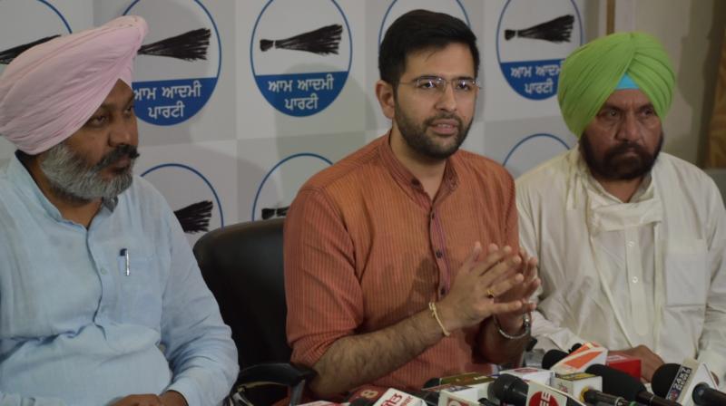 AAP AAP