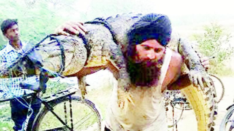 Pargat Singh Pargat Singh