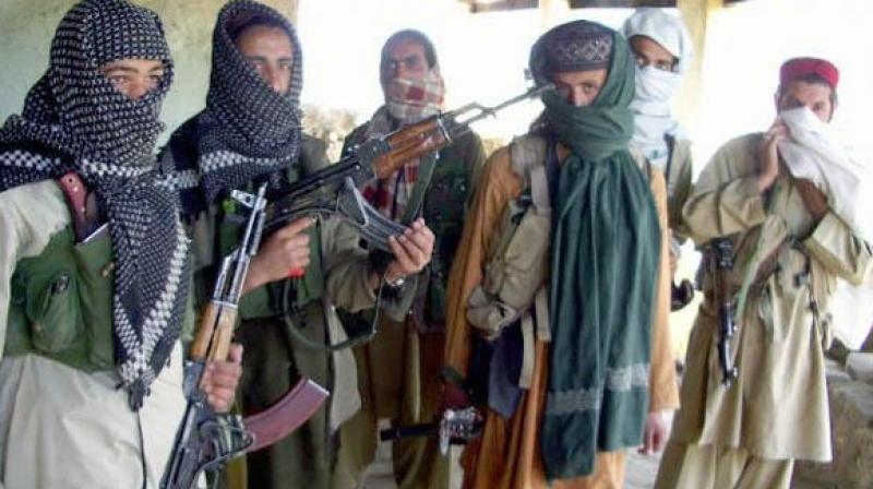Terrorists Terrorists