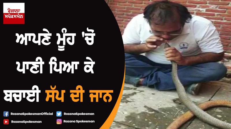 Income-Tax officer rescues snake attacked with pesticide in Indore Income-Tax officer rescues snake attacked with pesticide in Indore
