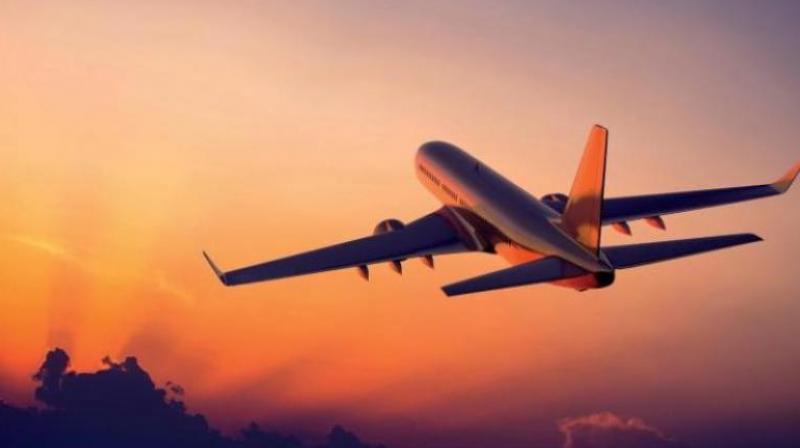 Flight Flight