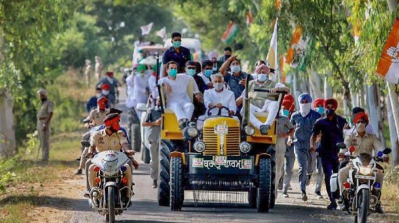 Notice issued to Center, Punjab Government and Rahul Gandhi on holding tractor rallies in Punjab Notice issued to Center, Punjab Government and Rahul Gandhi on holding tractor rallies in Punjab