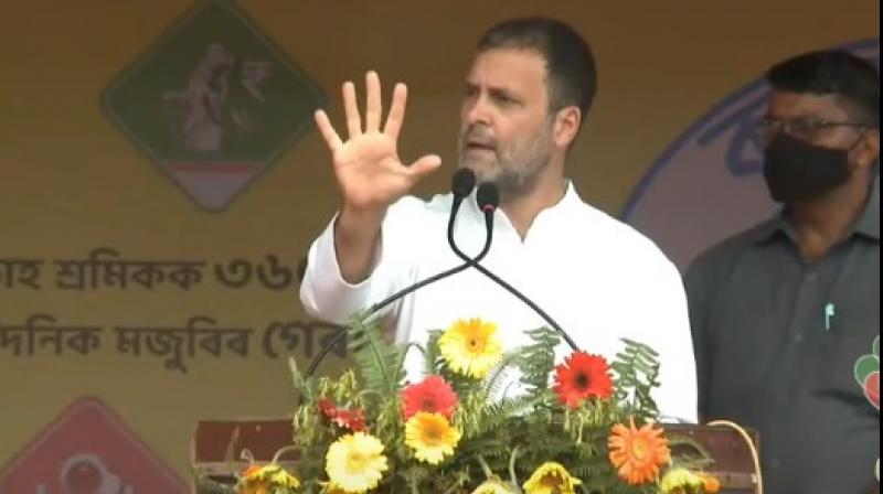 Rahul Gandhi Rahul Gandhi