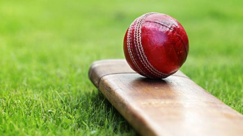 Cricket Cricket