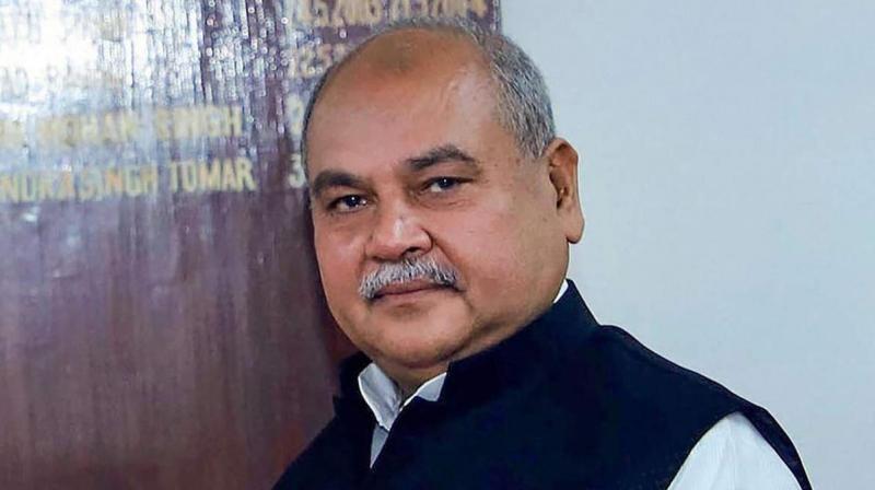 Union Minister Narendra Singh Tomar Union Minister Narendra Singh Tomar