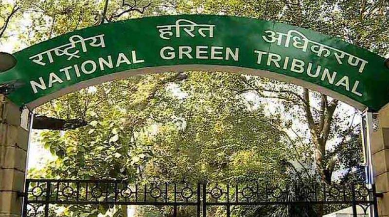 National Green Tribunal