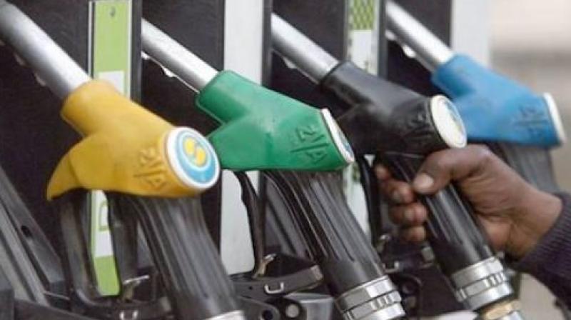 Petrol & Diesel Petrol & Diesel
